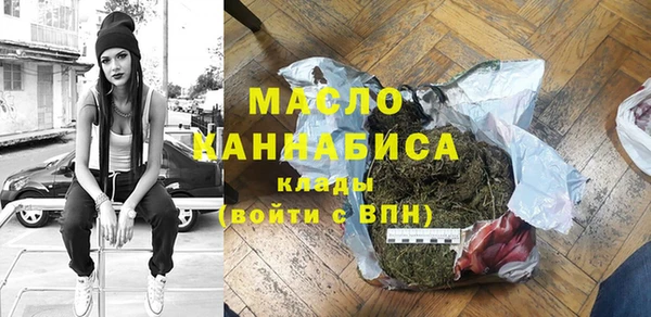 мдпв Ельня
