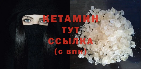 мдпв Ельня