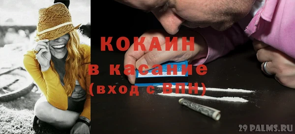 мдпв Ельня