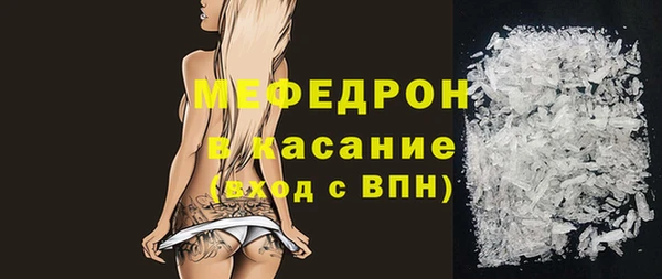 мдпв Ельня