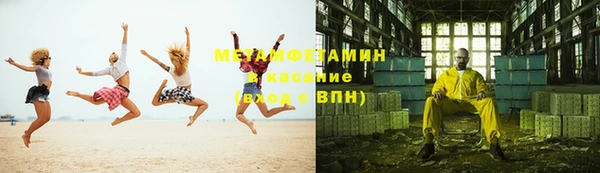 мдпв Ельня