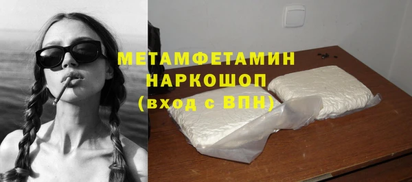 мдпв Ельня