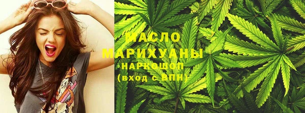 мдпв Ельня