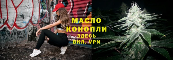 мдпв Ельня