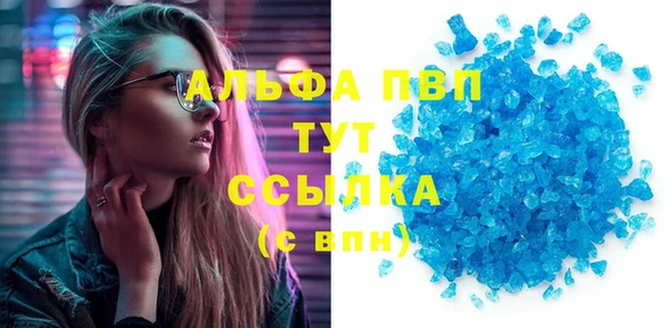 мдпв Ельня
