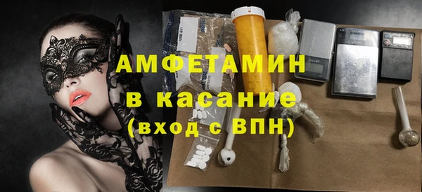 мдпв Ельня